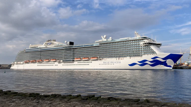 Princess cruise ship sailing near a waterfront skyline