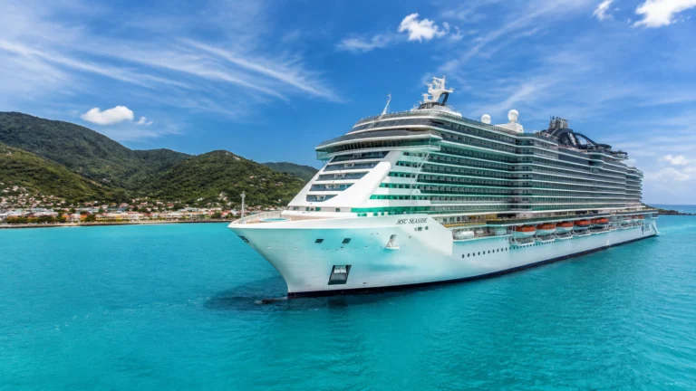 MSC cruise ship anchored in a turquoise bay near green hills