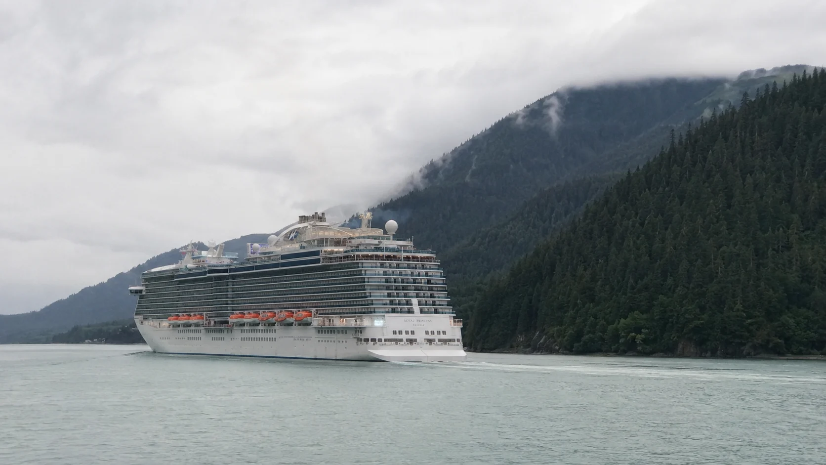 Princess cruise ship sailing away through a misty forested fjord