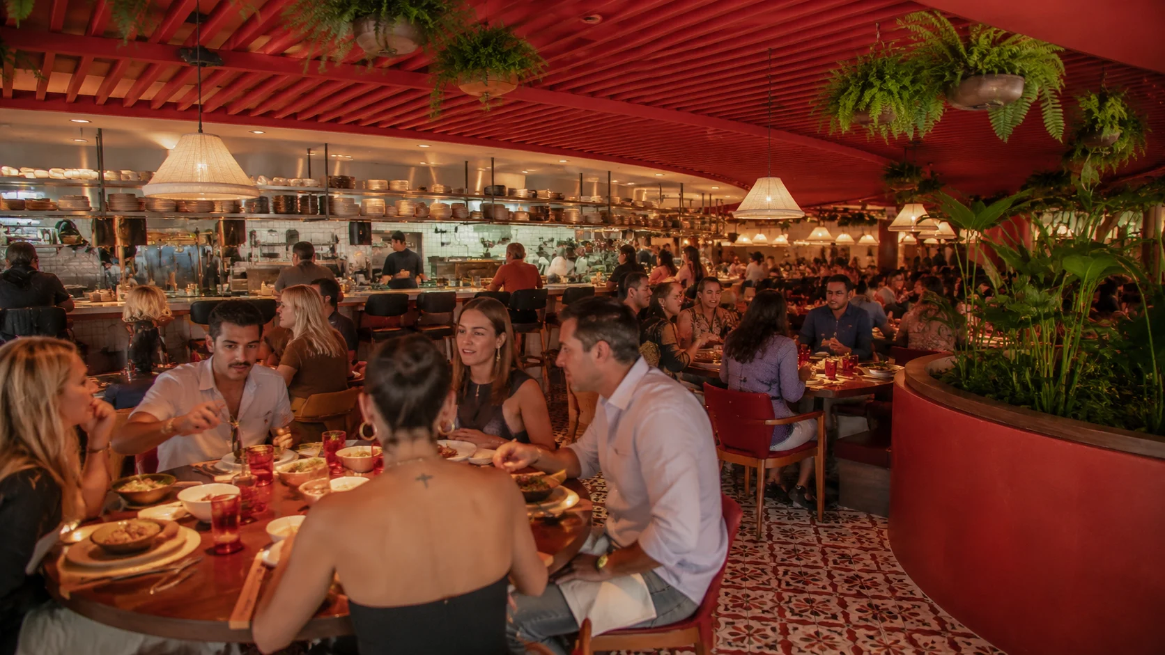 Guests dining inside Rojo by Razzle Dazzle on Brilliant Lady